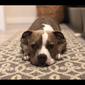 Meet your Posher, Cindy gorton